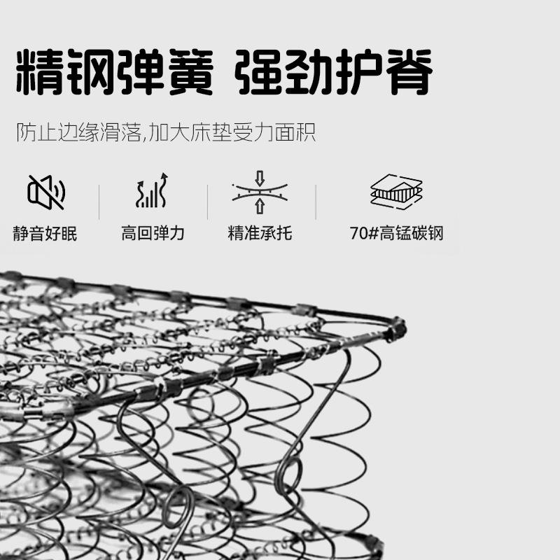 8加棕床垫1棕床垫榻榻米棕床榈垫出租房可折叠非椰棕床垫.米M669