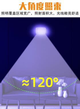 谦润照明UV泛光灯603WUV-投光光投光紫灯0W舞台le灯d氛围KTV荧光