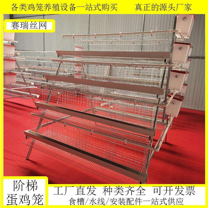 三层四层阶梯式蛋鸡笼笼具家用养殖场用自家工厂鸡舍鸡窝