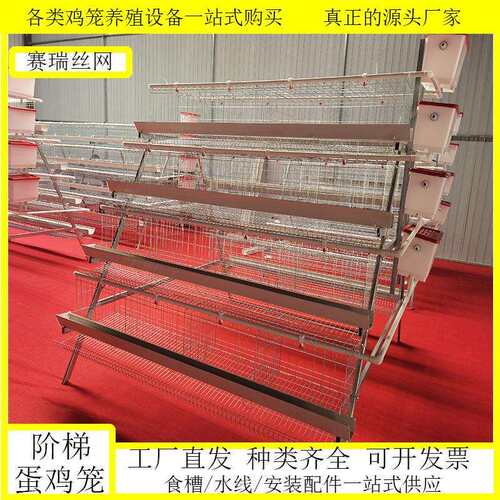 三层四层阶梯式蛋鸡笼笼具家用养殖场用自家工厂鸡舍鸡窝