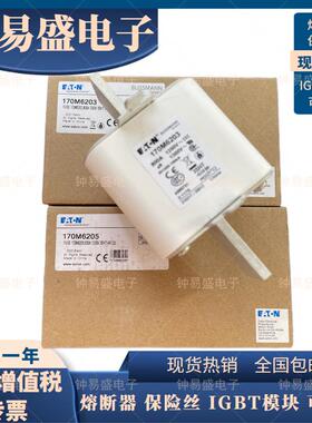 巴斯曼Bussmann熔断器170M6203 170M6204/6205 800A 1250V保险丝