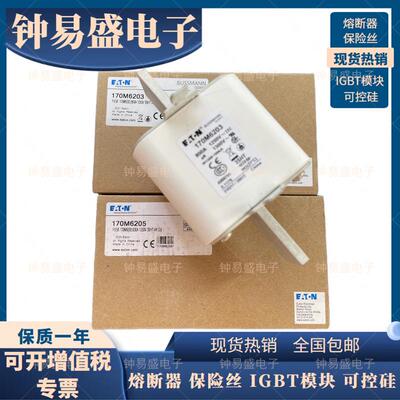 巴斯曼Bussmann熔断器170M6203 170M6204/6205 800A 1250V保险丝