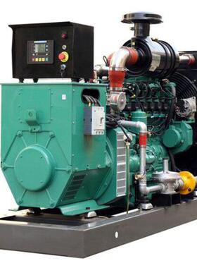 ГазовыйгенераторGas/BiogasGenerator250KW