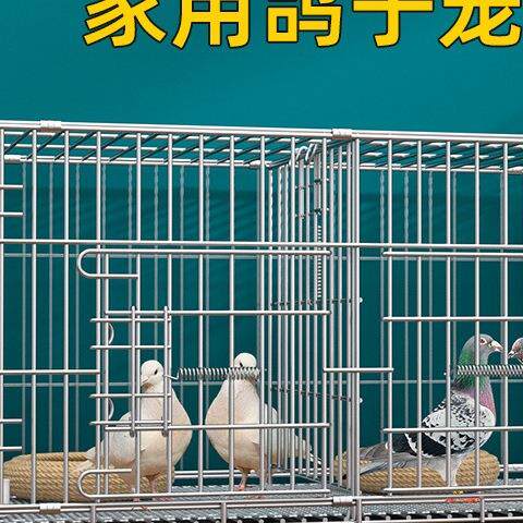 信鸽笼家用养殖笼折叠配对笼鸽子用品用具鸽笼加密双层