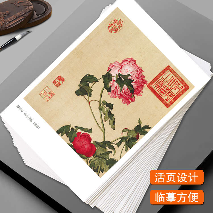 工笔画 国画临摹卡 名家工笔画花鸟篇艺术培训教学参考卡全套32幅