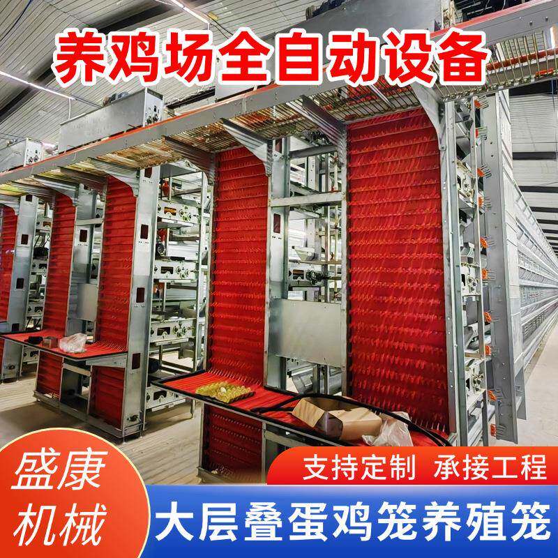 大层叠蛋鸡机械设备立式自动化三层叠式蛋鸡笼养殖场鸡舍蛋鸡笼