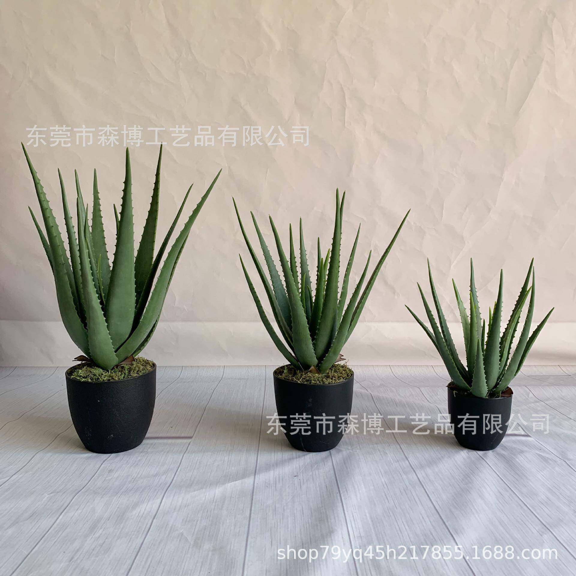 仿真植物假芦荟盆栽盆景室内外客厅桌面多肉小绿植摆件橱窗装饰