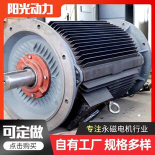 大功率电动机 永磁风力发电机 200w垂直轴风力发电机 盘式