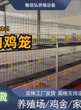 三层H型肉鸡鸡笼立体丝网笼鸡舍养鸡场镀锌简易式可联排摆放