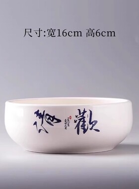 水培花盆叶莲铜钱金钱水仙花瓶