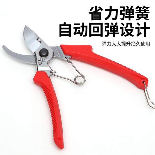 120修枝剪 厂家修树枝园林果枝剪园艺修枝剪园艺花园剪