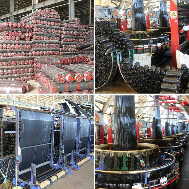 防草布 黑色园艺扁丝地布果园大棚透水灌溉布苗床基层除草抑草布,鲜花速递/花卉仿真/绿植园艺,其它园艺用品,淘宝优惠券,粉丝福利购,淘宝优惠卷