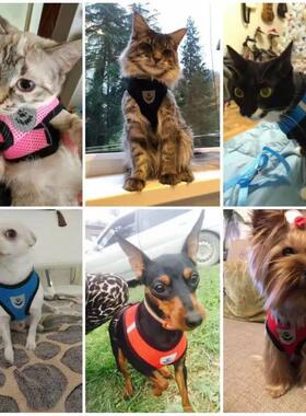Cat Harness For Anti-Escape Cat Collar For Cats Tent Pet Ass