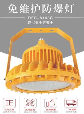 支架吸顶式吊杆式120W150W180W200W隔爆型LED防爆灯护栏法兰弯灯