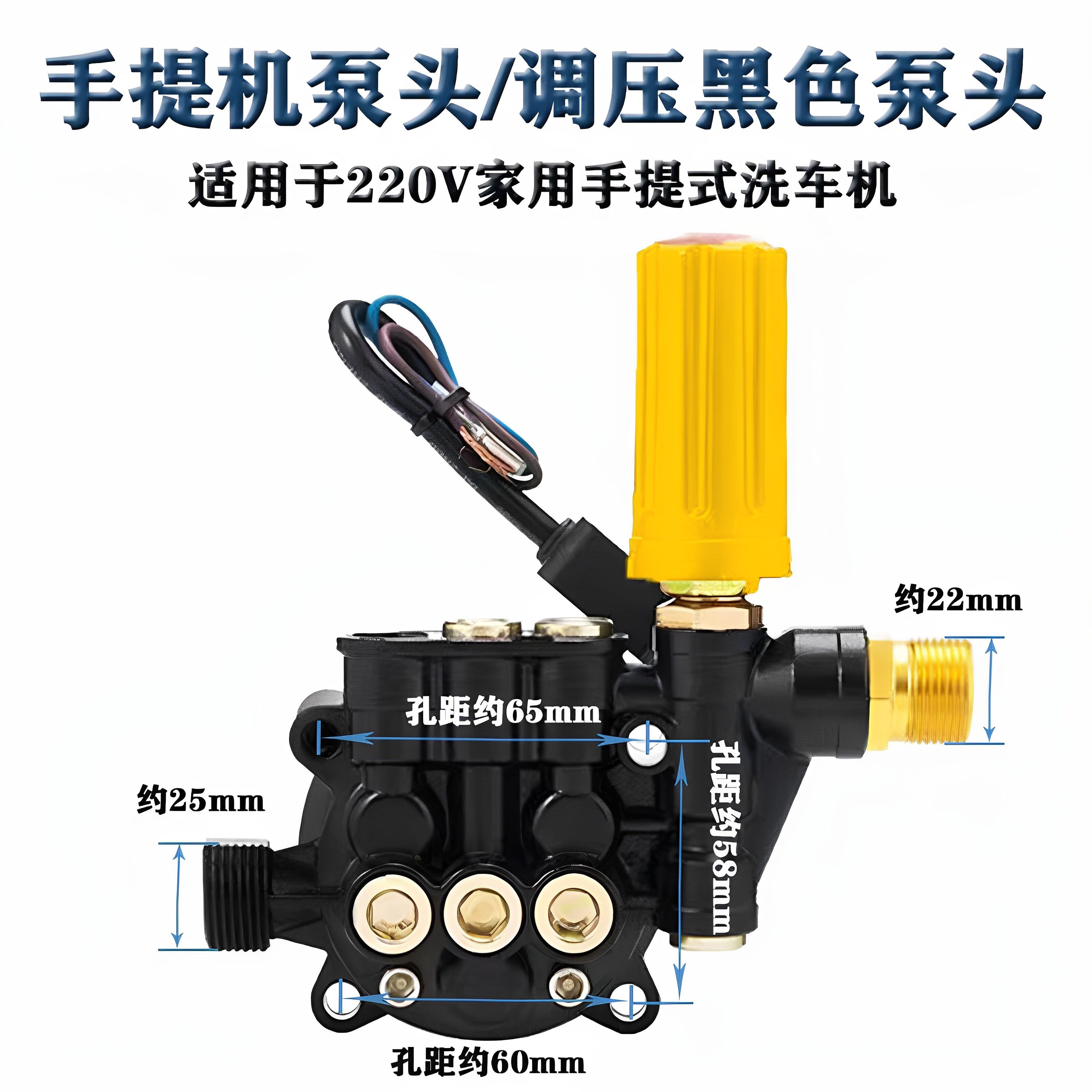 欧之韵家用高压洗车机手提式清洗机泵头洗车器配件220V调压水泵