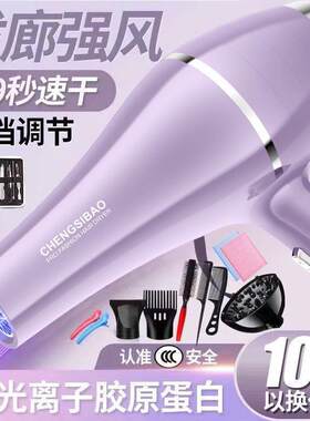 发廊吹风机家用大功率蓝光理发店负离子电吹风冷热护发静音耐用