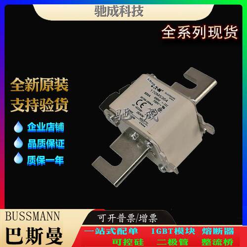 巴斯曼170M5280 170M5281 170M5282 厂家直供零售 伊顿熔断器