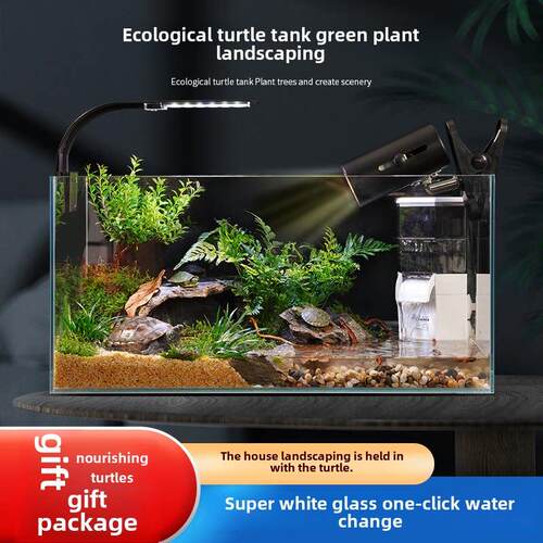 龟缸超白玻璃景观家庭客厅龟缸养殖箱与露台生态鱼缸