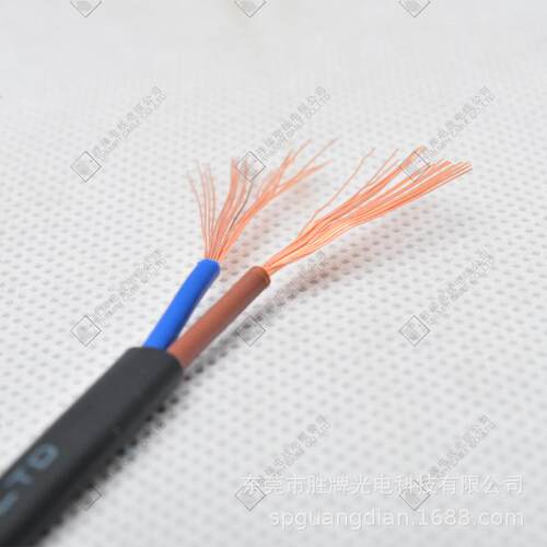 VDE认证电机电源扁线PVC德标无氧铜连接器二插头线H05VVH2-F
