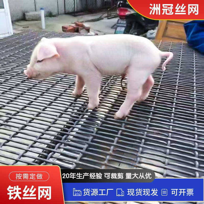 漏粪网加粗养殖筛网 轧花网羊床漏粪网编织防护围栏网,金属材料及制品,丝网/金属网,淘宝优惠券,粉丝福利购,淘宝优惠卷