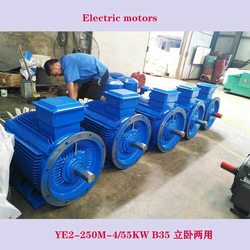 立卧两用B35电机YE2-315L1-4/160kw 400v 出口 IE2 IE3电动机