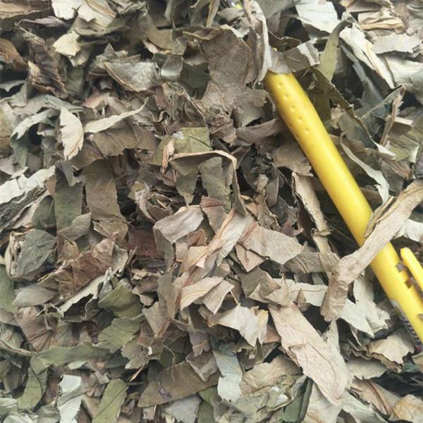 荷叶 荷叶丝 干荷叶 干货 中药材 1000g克