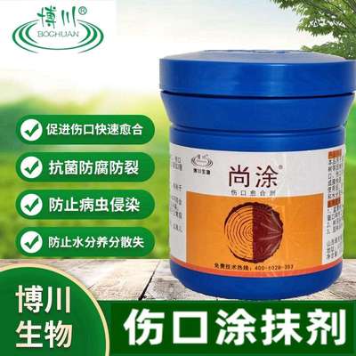 博川尚涂博涂非糊涂金弹子大树盆景果树锯口流胶病伤口愈合涂抹剂