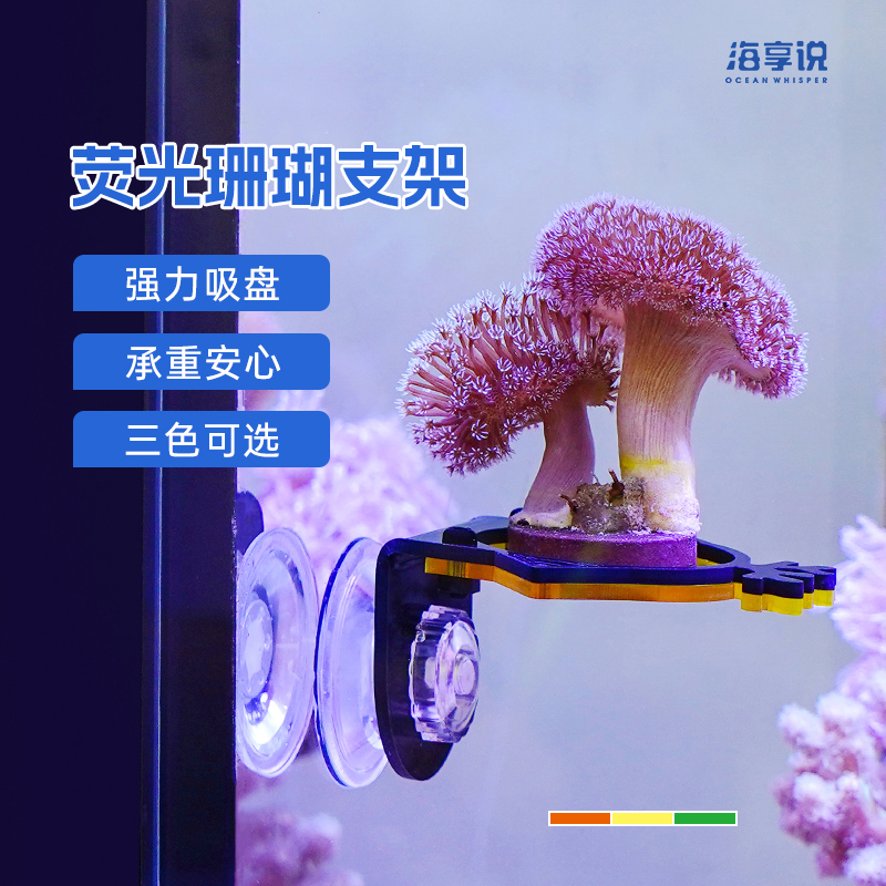 海享说荧光珊瑚支架亚克力托架珊瑚基座鱼缸造景海缸珊瑚摆件底座