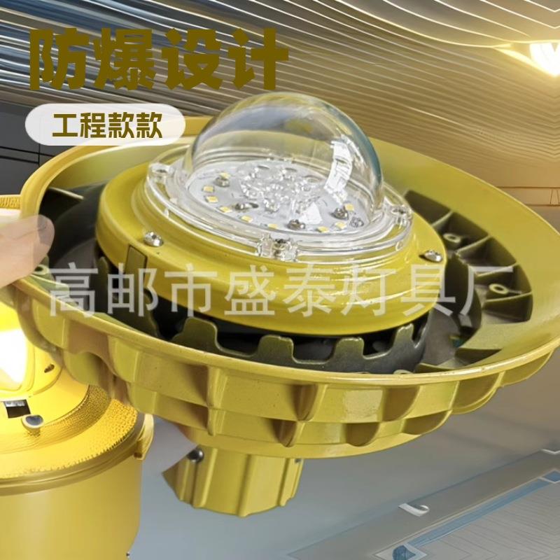 led中华灯及一体化灯球内外上下发光球IP66城市亮高邮制造