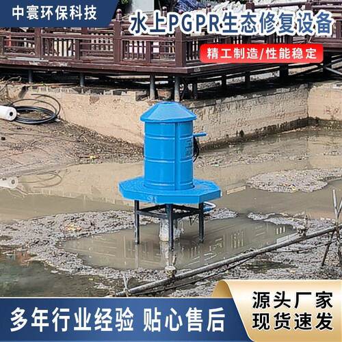 PGPR水体生态修复一体化设备黑臭水处理微生物培养投放充氧