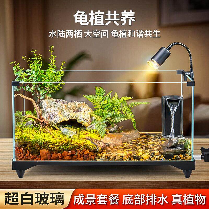 乌龟饲养缸生态造景家用玻璃缸小型水陆两用养鱼缸专用缸客厅换水