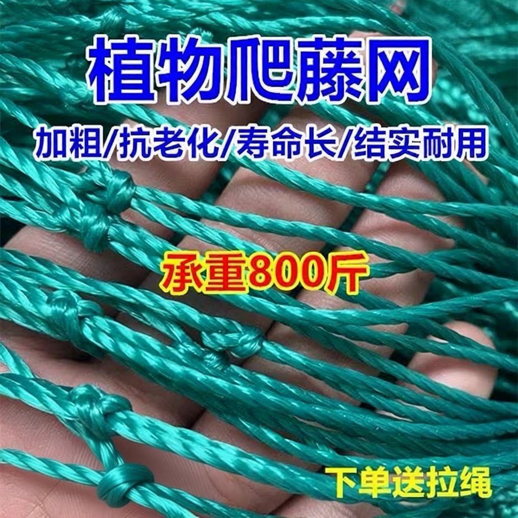 植物花卉瓜果丝瓜园艺用品套装