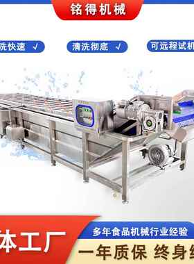 西蓝花去农残气泡清洗机多功能竹笋清洗设备鱼皮海参气泡清洗线