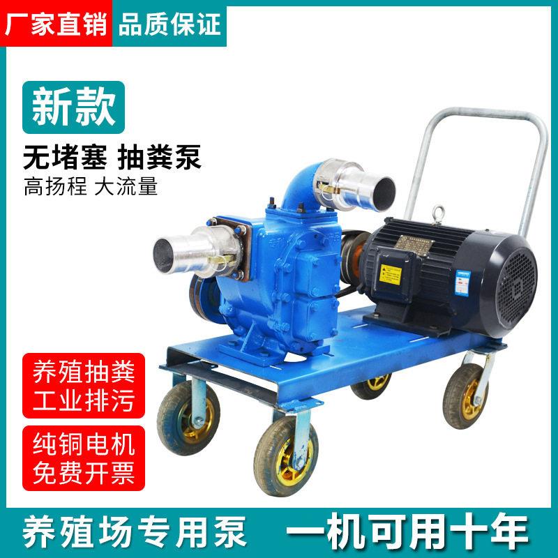 泽洋抽粪泵养殖场抽粪机家用自吸污水泵380V三相离心排污淤泥浆泵