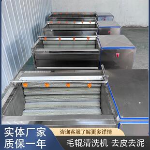 全自动芋头毛辊清洗机商用莲藕土豆去皮去泥机器大型净菜清洗设备