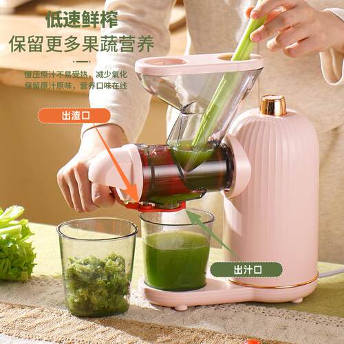 ANMIR/安蜜尔 AMR501A卧式原汁机小型电动榨汁机渣汁分离便携家用