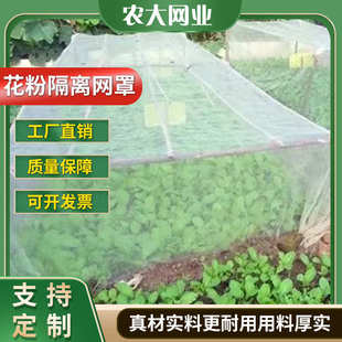 花粉隔离网 多种高密度花粉隔离网罩滤网 杂交套袋网可定 制