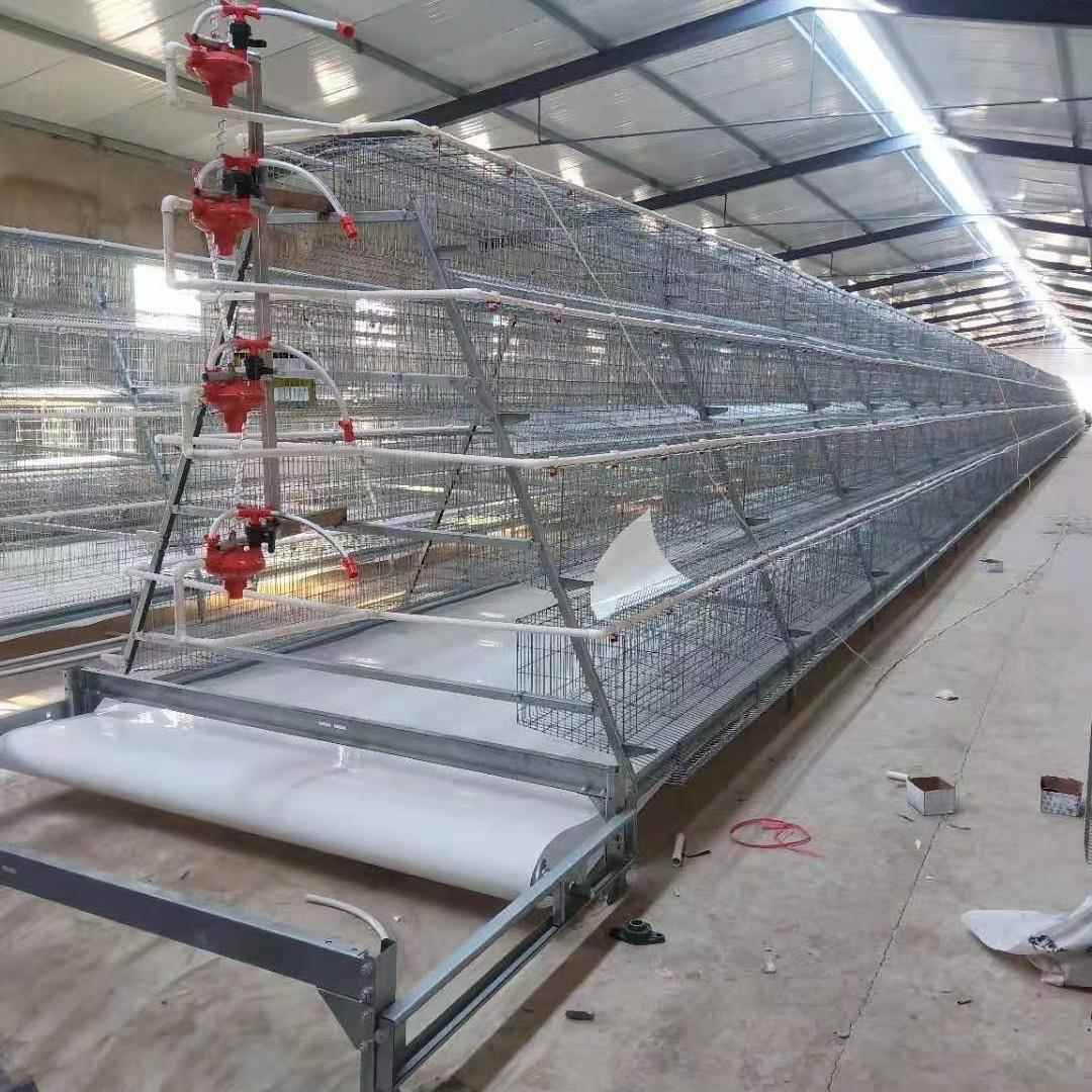 养鸡设备蛋鸡笼加粗铁丝鸡笼自动清粪鸡食槽自动饮水养殖设备