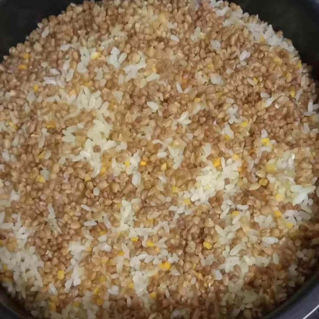 云南昭通特产苦荞米粗粮杂粮简单方便1000克包邮