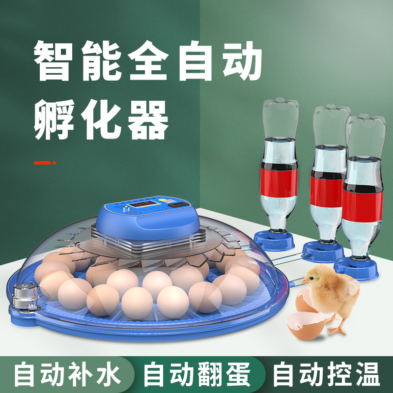小飞碟孵化器小型家用型全自动智能孵蛋器鸡鸭芦丁鸡孵化机孵化箱
