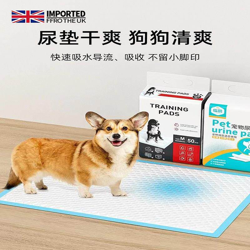 英国狗尿垫宠物厕所除臭吸水凉垫泰迪比熊尿不湿加厚一次性尿片