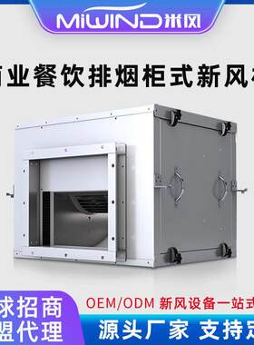 加工定制空调风柜风机饭店厨房商用柜式离心风机工业管道排烟