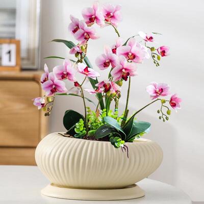 蝴蝶兰专用盆PLW陶瓷大白号带盘家用兰花绿花植简约色阳台客厅花