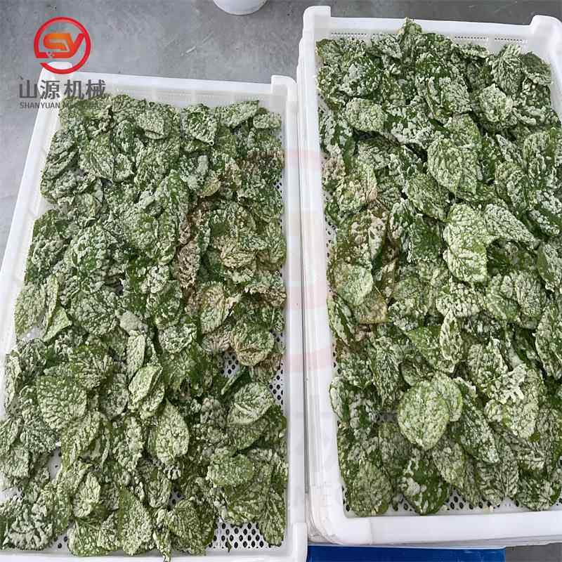 客户回购香酥翠叶油炸机天妇罗南瓜片油炸设备东方脆叶生产线