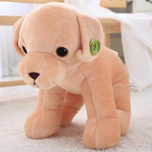 高档犬海利伟柴狗多多毛绒玩狗公具仔仿真哈士奇柴抱枕狗玩偶儿童