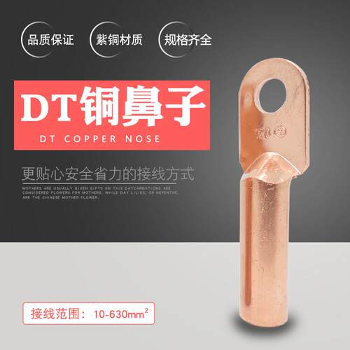 国标A级DT-10/16/25/35电缆堵油50接头线鼻子70铜线耳接线端子DTL