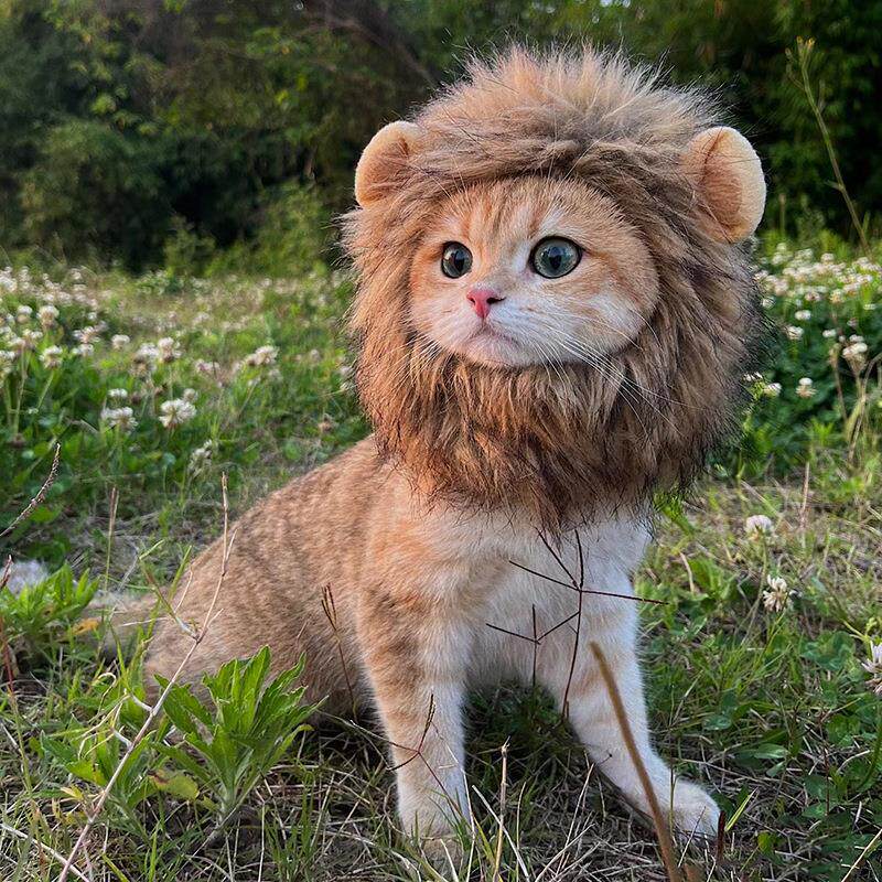 跨境宠物狮子头套猫咪狗狗搞笑卖萌假发帽子狮子头套万圣节变身装
