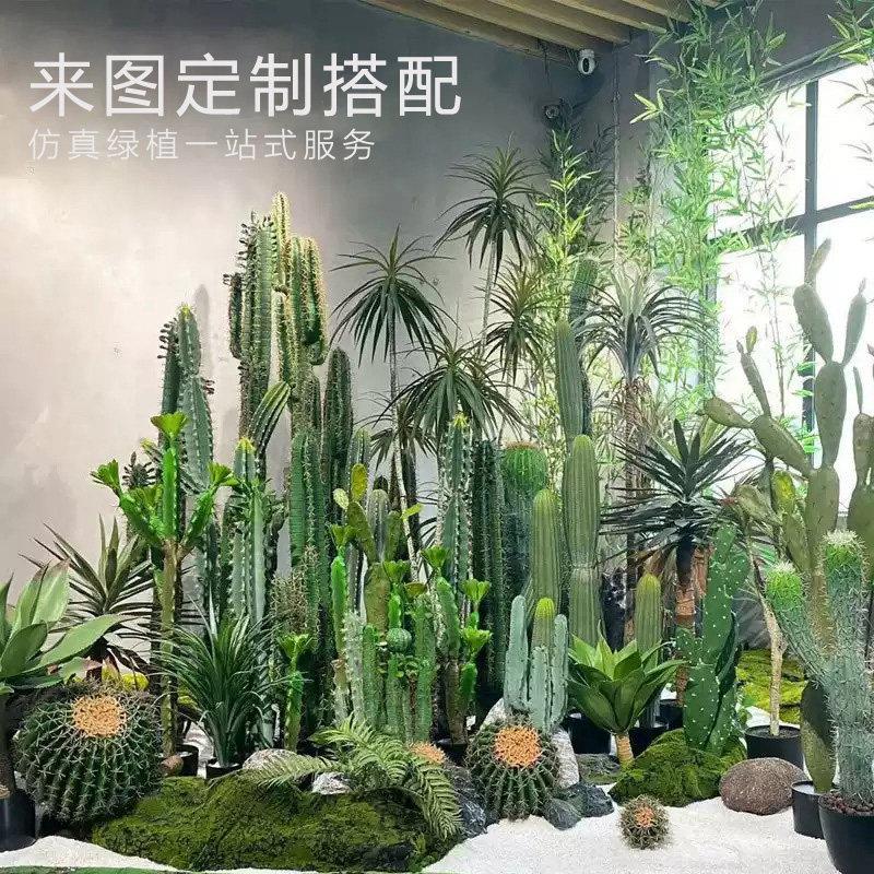 彷真仙人掌盆栽热带场景装饰盆景假仙人柱量天尺橱窗摆件造景