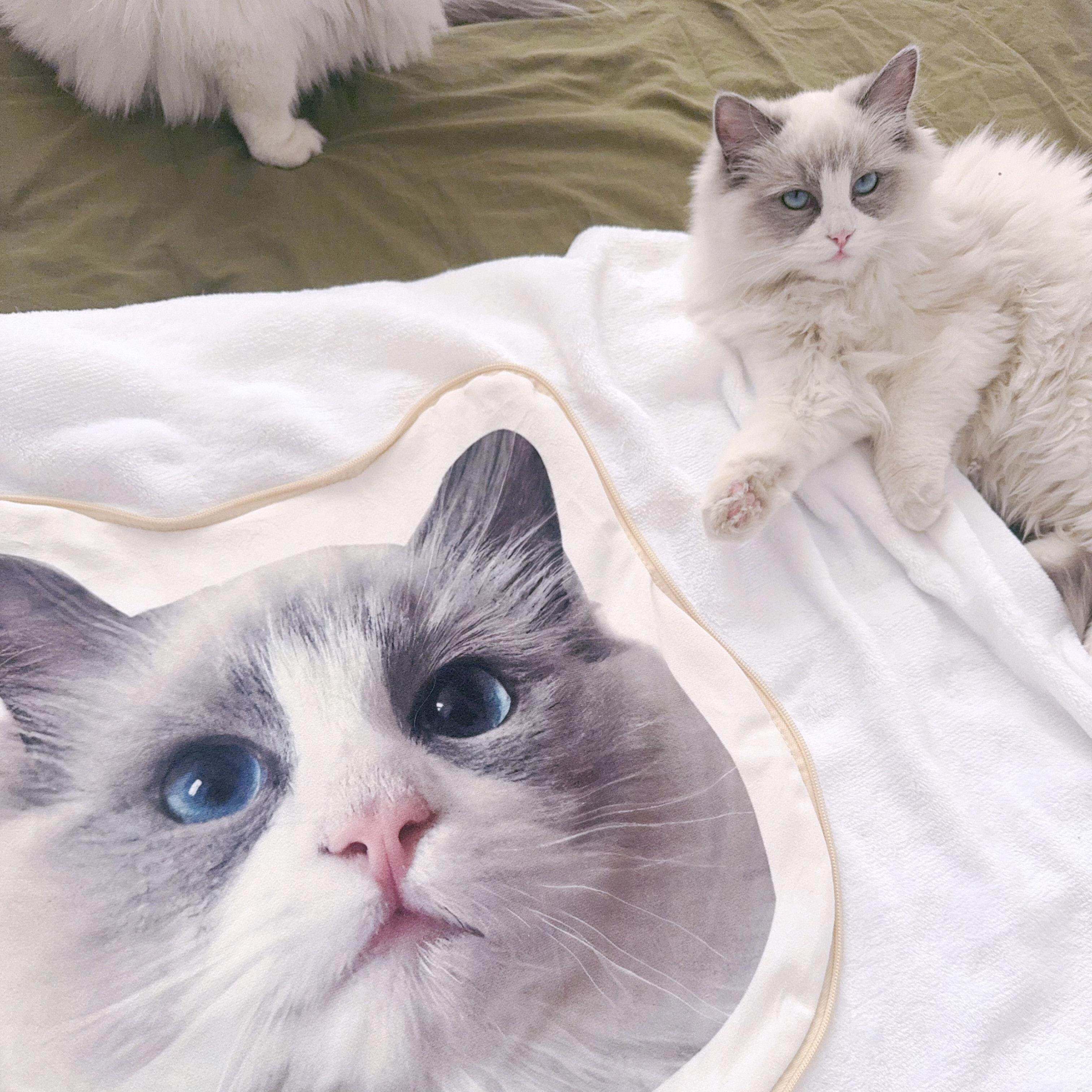 XIXI口定制毛毯抱枕被宠物午睡毯子二合一两用夏凉被logo枕头抱枕