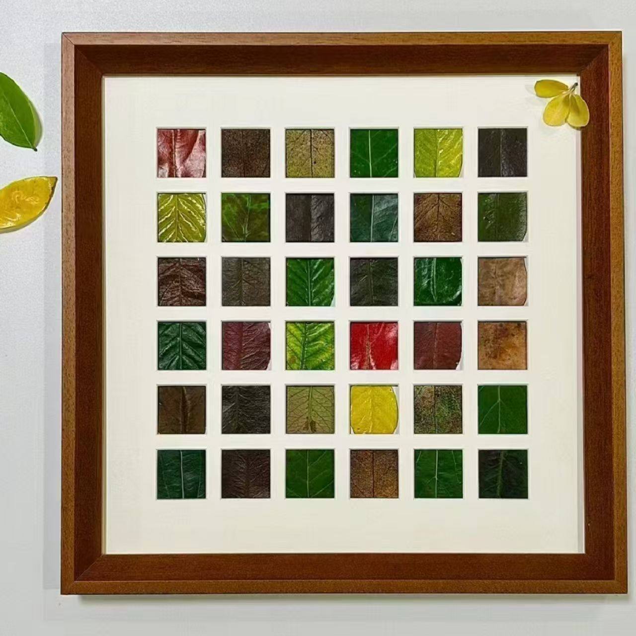 落叶画框中空diy干花植物标本框树叶画照片墙组合相框软装亲子手,家居饰品,DIY亲子装饰画,淘宝优惠券,粉丝福利购,淘宝优惠卷